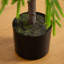 4Ft. Artificial Real Touch Down Swept Norfolk Pine Tree With Natural Look-17036511