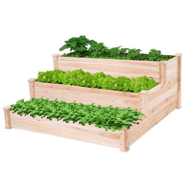 Arlmont & Co. Kasiah Wood Outdoor Raised Garden Bed | Wayfair