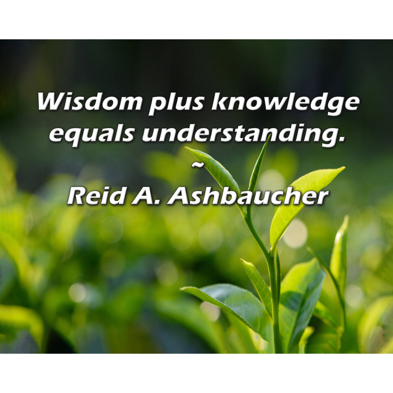 Trinx Gallery Wrapped Canvas By Reid A. Ashbaucher: "Wisdom plus knowledge equals understandi