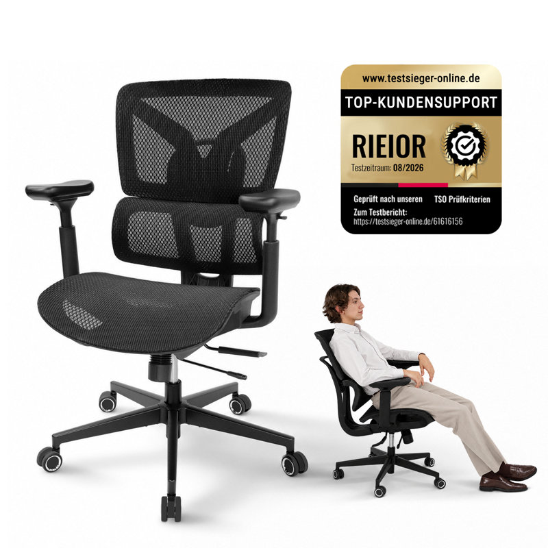 RIEIOR Mesh Task Chair, Black