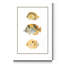 Antique Tropical Fish I - impression sur toile tendue-1714612196