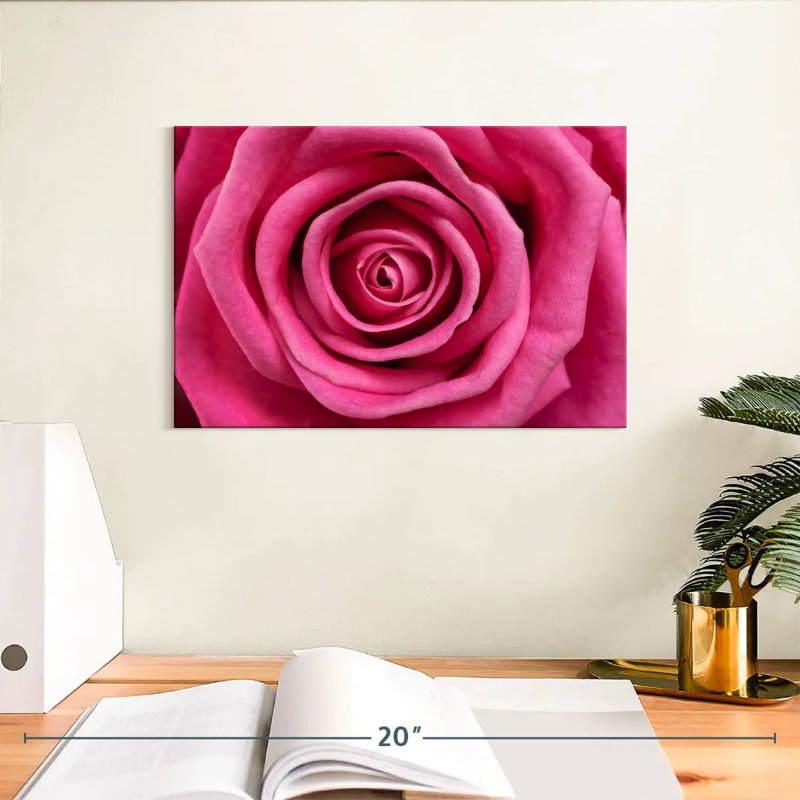Rose chaud Harnek, H 8 po x l 12 po