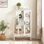 Vitrine Curio-126060716