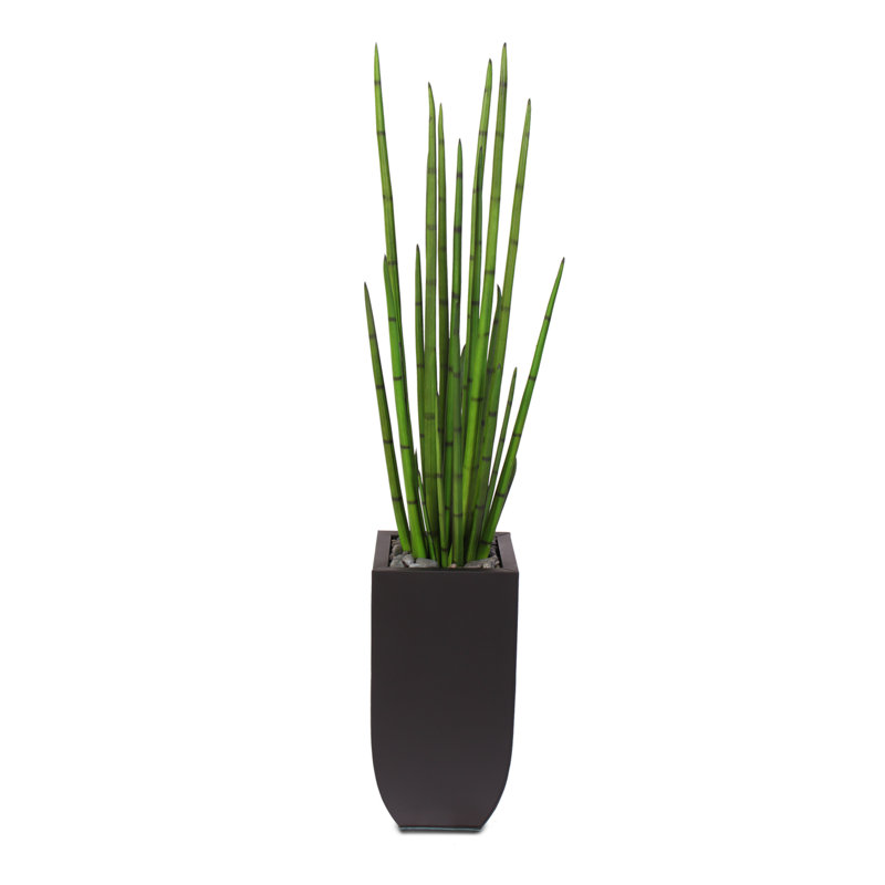 Tall Green Silk Snake Grass in Black Metal Planter