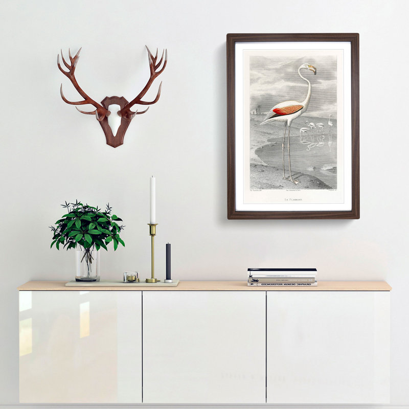 A Flamingo by Edouard Travies - Picture Frame Painting Print, 36cm H x 27cm W x 2cm D, Walnut Framed