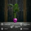Handmade Planter-52455015