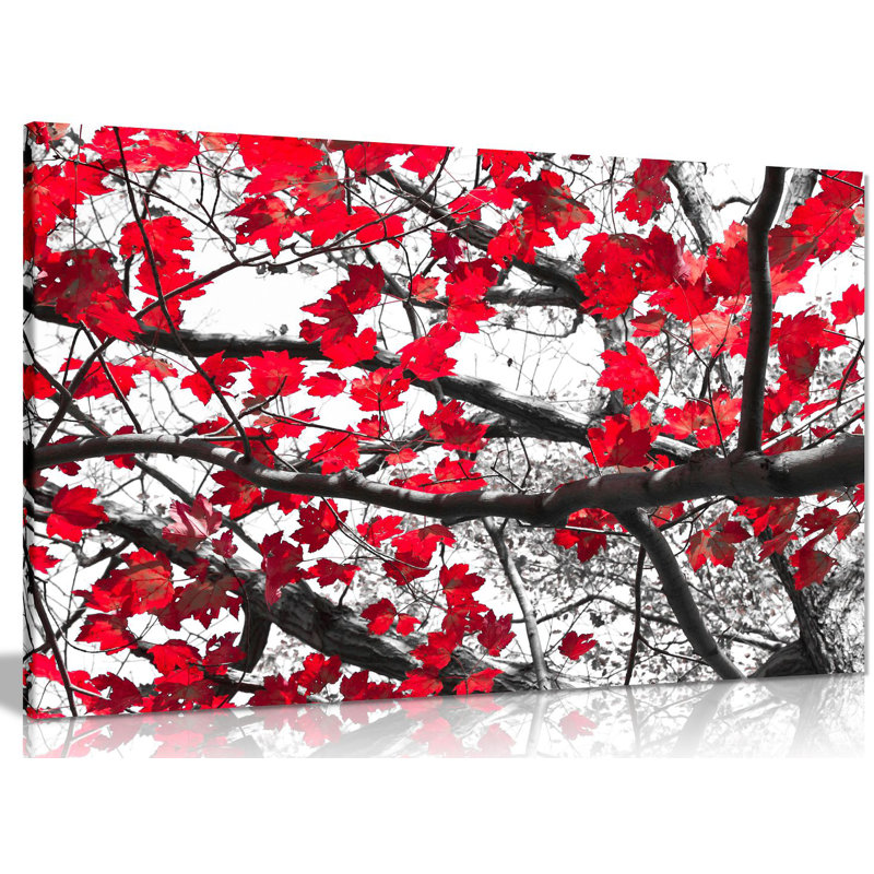 Wrapped Canvas Print, 31cm H x 46cm W