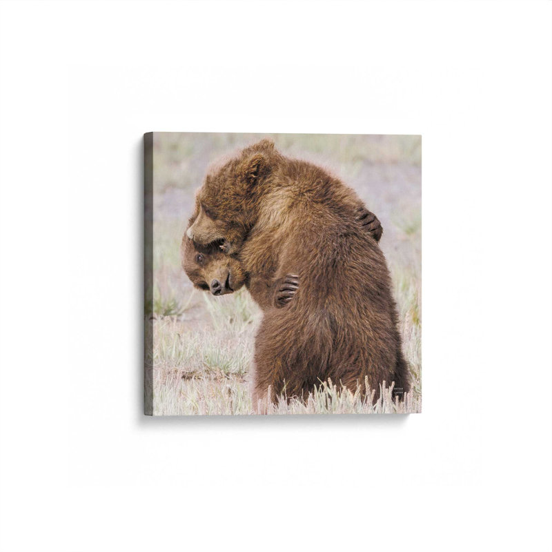 Bear Hug by Nathan Larson Art Print, 12 W x 12 H, Does Not Apply, Unframed Canvas