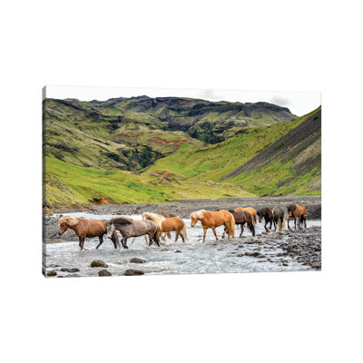 Collection Of Horses II by PHBurchett - Wrapped Canvas Print