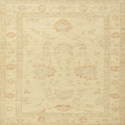 Oriental Indoor Rug