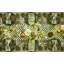 Emerald Check Appetizer Plates