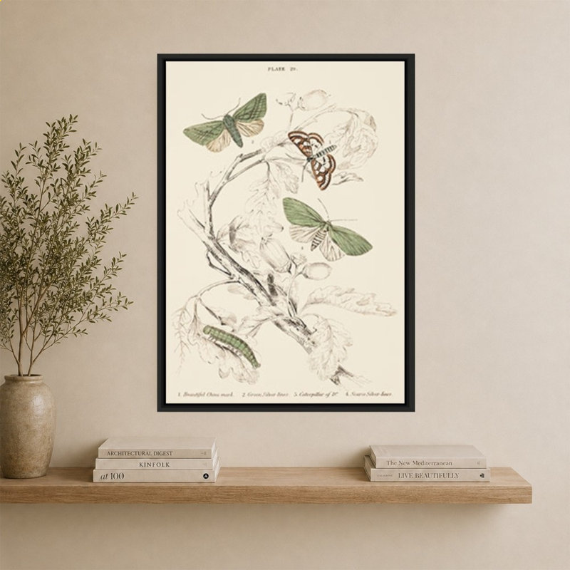 Mariposas I par V. Larkspar - Impression sur toile, H 44 po x l 34 po, Noir
