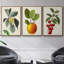 Garden Gems I, ensemble de 3 pièces encadrées sur toile-606194156-606194157