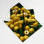 Tapisserie murale Fruit Abiu-133648408