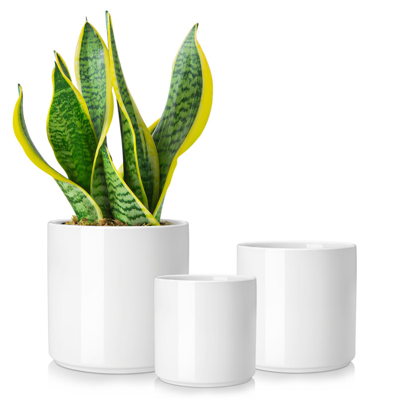 ZTHPOT Ceramic Pot Planter, White