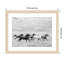 Horse Run I by PHBurchett-558661565-558661570