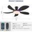 Ventilateur