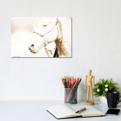 Sepia Medicine Man by Kari Brooks - Wrapped Canvas Print