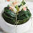 Light Pink Orchid 16" Mini Garden Drop-In