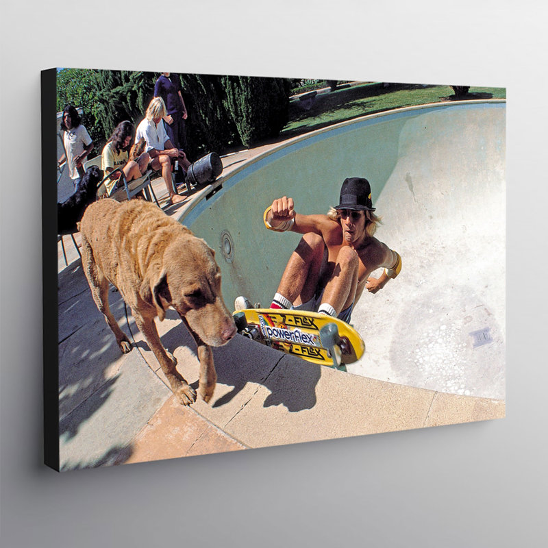 Dogtown And Z Boys Skateboarding - Wrapped Canvas Print, 31cm H x 41cm W x 4cm D