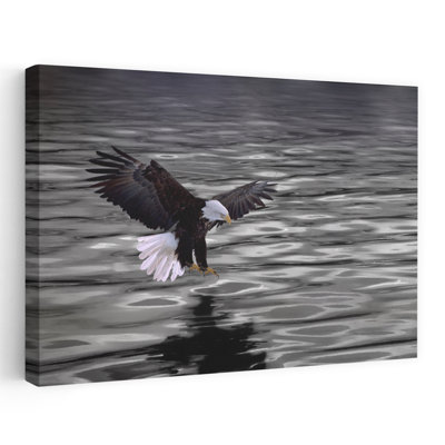 Eagle Over Water Contemporary Bird Art