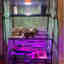 Photos des clients 1 de 1