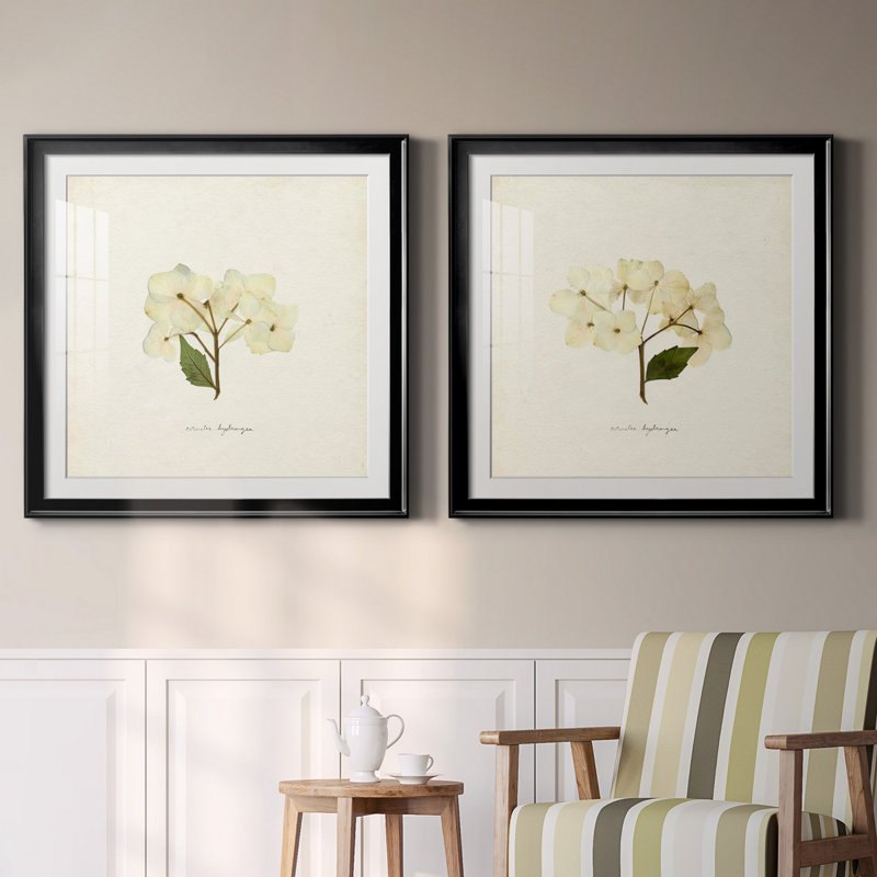 Cornales Hydrangea I Cornales Hydrangea I - ensemble de 2 reproductions de cadres photo, H 30,5 po x l 61 po, Noir