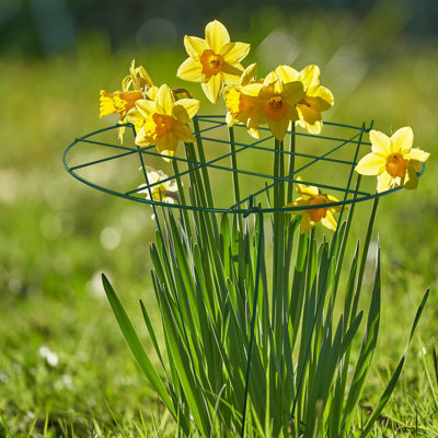 14 po x 18 po Poeny Cage Grow To Grill Plant Brace Anneaux de soutien de fleurs, anneaux ronds de piquets de plantes en métal, supports de jardin larges et robustes pour fleurs, pivoines, roses, lis