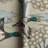 Equestrian Fabric