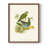 Lime & Cerulean Parrots I Framed Print - Solid Wood-1180804766-1180804767