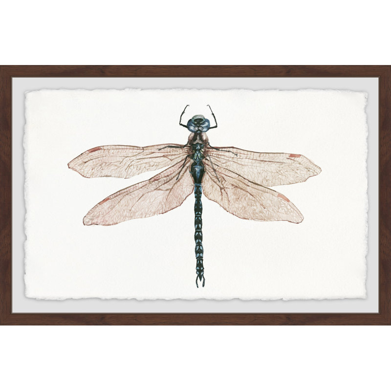 Dual Wings - Single Picture Frame Painting, 41cm H x 61cm W