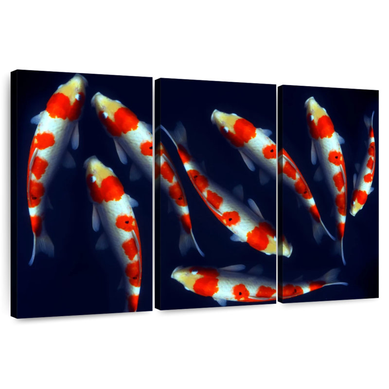 Brampt Sleek Koi Fish, 28" H x 45" W