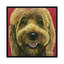 « nikki the goldendoodle », reproduction d’impression sur toile-32500617-72130767