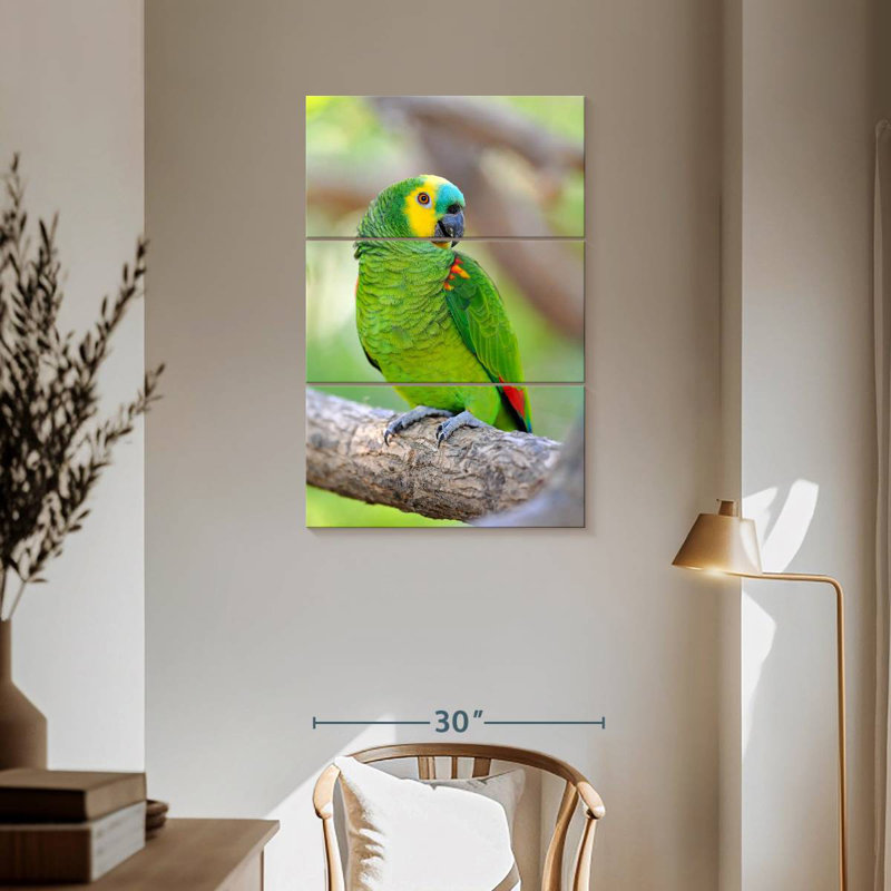 Brampt Turquoise-Fronted Amazon Bird, 57" H x 36" W
