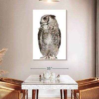 Brampt Owl Looking Sideways