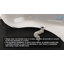 66.9'' x 31.5'' Soaking Acrylic Bathtub-1550561505-1550561517