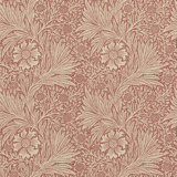Marigold Wallpaper