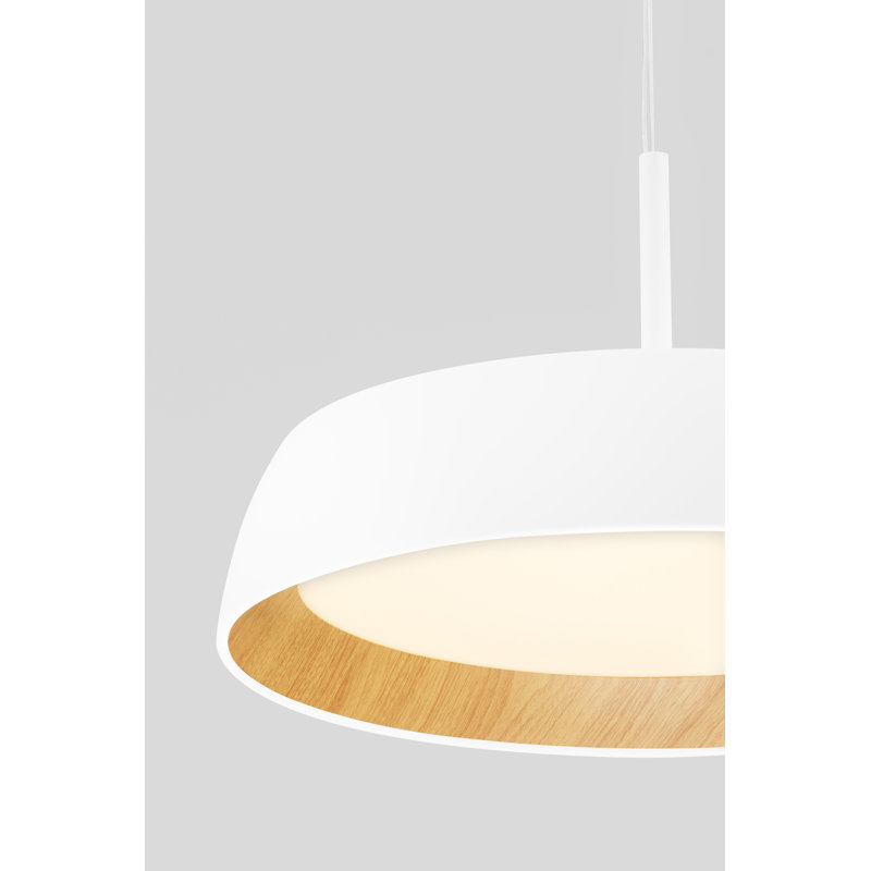 - Light Pendant