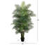 Plante-1929067214