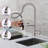 MAXWELL Pull Down Kitchen Faucet