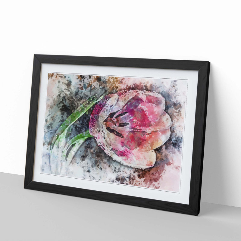 Pink Tulip - Framed Print, Black, 50cm H x 76cm W x 2cm D