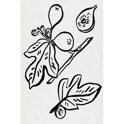 Fig Season I by Melissa Wang - Drawing Print