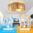 20.9" Smart Boho Caged Ceiling Fan with Light Kit, APP and Remote Control