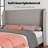 Cameren Upholstered Platform Bed-1202552771-1202552774