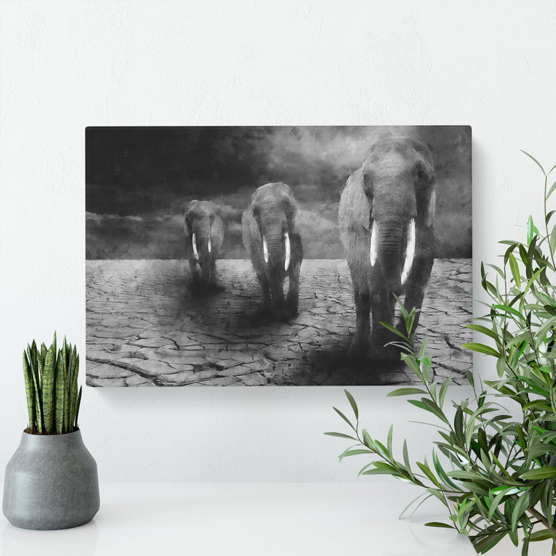 Three Elephants - Wrapped Canvas Print, 35cm H x 50cm W x 3cm D
