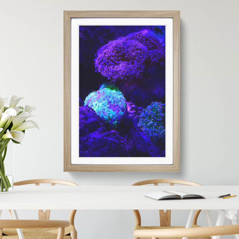 Luminescent Coral - Picture Frame Graphic Art, Oak Framed, 48cm H x 36cm W x 2cm D
