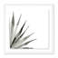 Agave II Print by Jess Engle-48615487-48615488