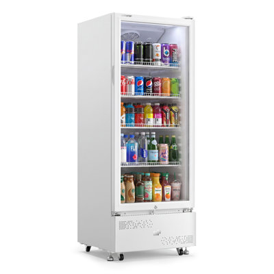 9.8 Cu.Ft Display Beverage Fridge with Lock, LED Light, Removable Shelves and Swivel Wheels