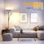 Debbera 175cm Torchiere Floor Lamp