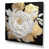 Toile tendue